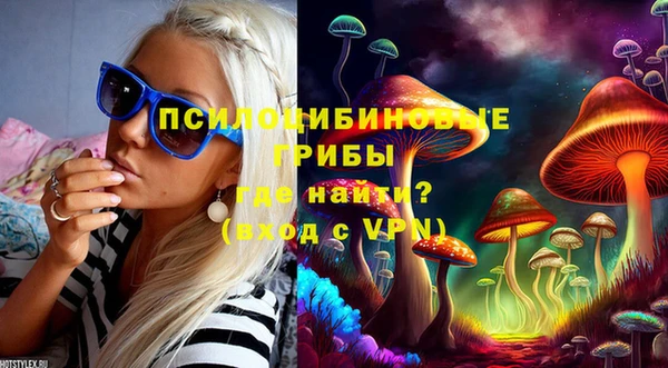 PSILOCYBIN Няндома
