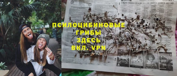 героин Алексин