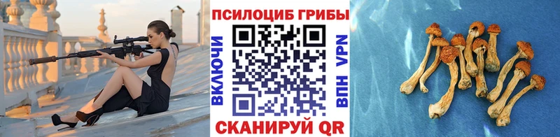 Галлюциногенные грибы Cubensis  Лобня 